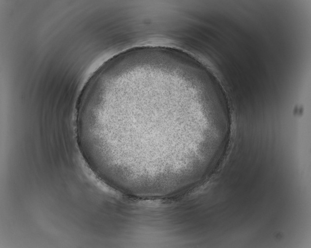 X0000112760990200909171245