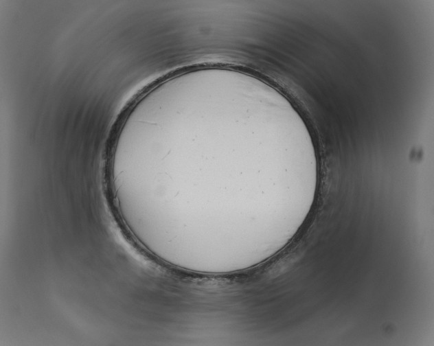 X0000112760991200909171245