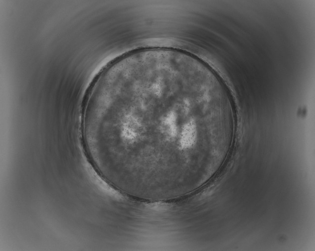 X0000112760992200909171245