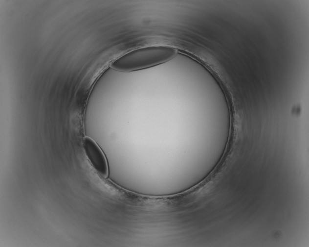 X0000112760993200909171245