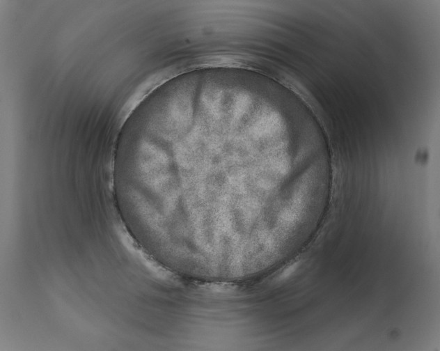 X0000112760994200909171245
