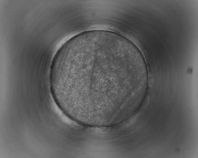 X0000112760995200909171245