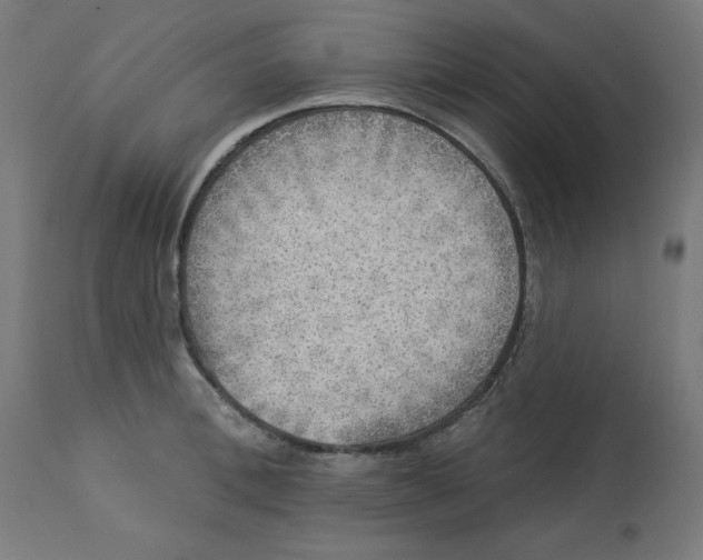 X0000112760996200909171245