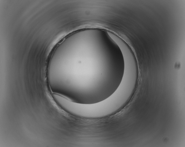 X0000112760997200909171245