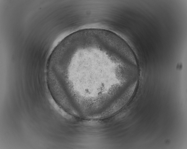 X0000112760998200909171245