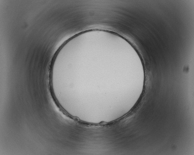 X0000112760999200909171245
