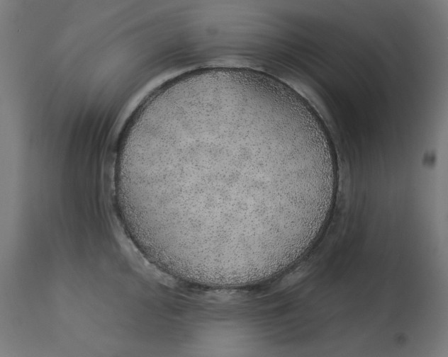 X0000112761000200909171245