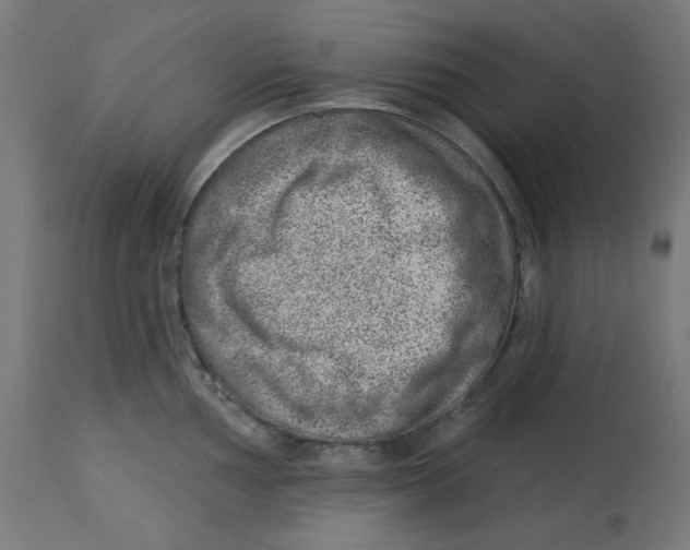 X0000112761002200909171245