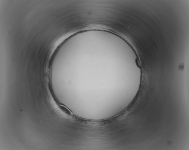 X0000112761003200909171245
