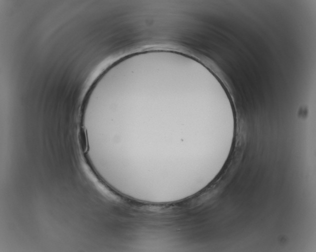 X0000112761005200909171245