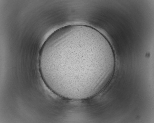 X0000112761006200909171245