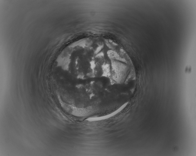 X0000112761009200909171244