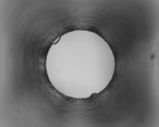 X0000112761010200909171244