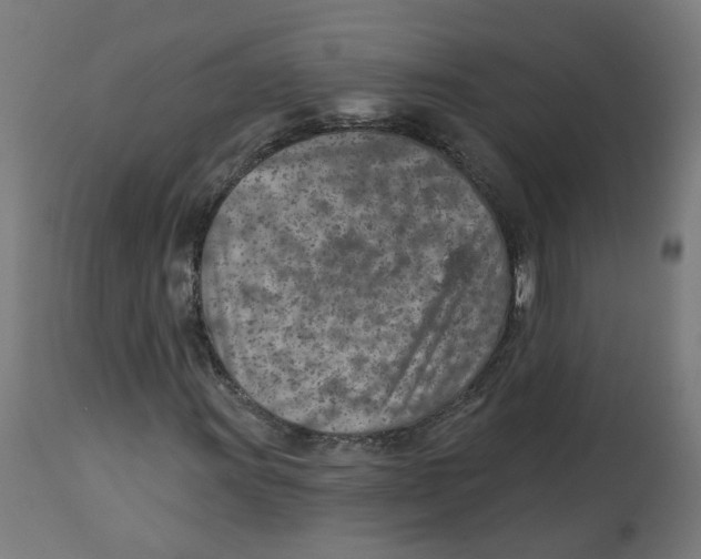X0000112761011200909171244