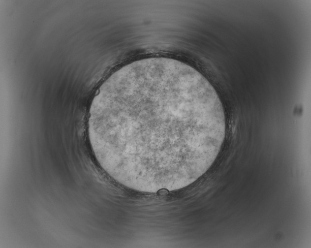 X0000112761012200909171244