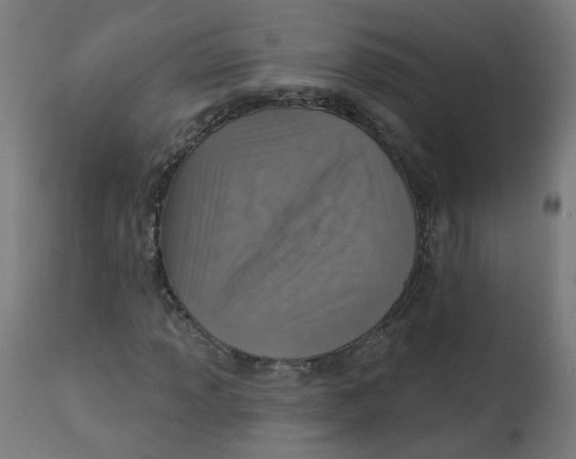 X0000112761013200909171244