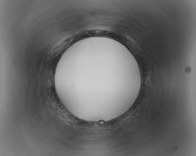 X0000112761014200909171244