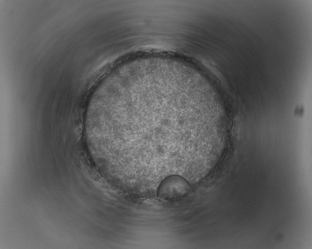 X0000112761015200909171244