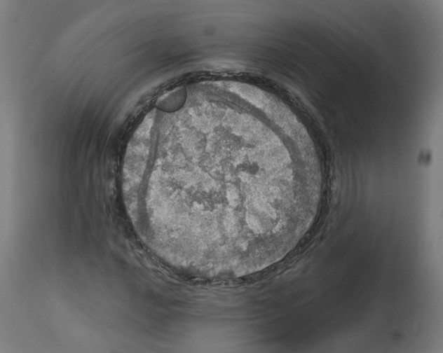 X0000112761016200909171244