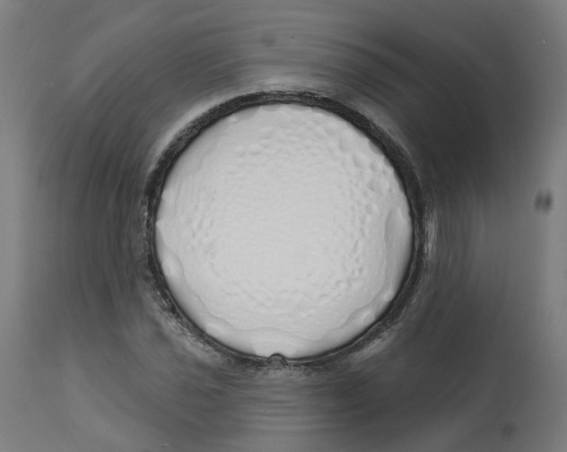 X0000112761021200909171245