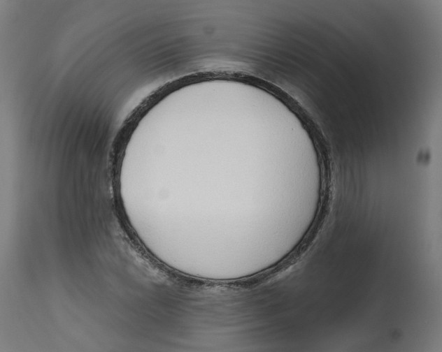 X0000112761022200909171245