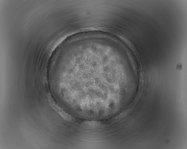 X0000112761023200909171245