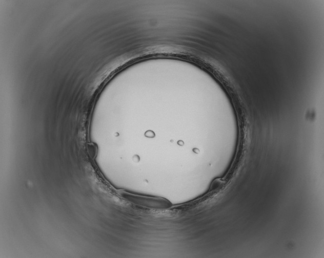 X0000112761025200909171245