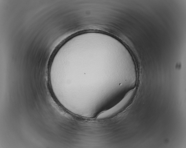 X0000112761028200909171245