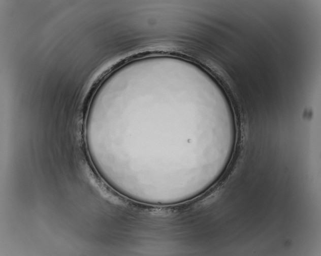 X0000112761029200909171245