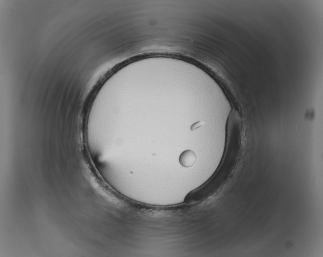 X0000112761030200909171245