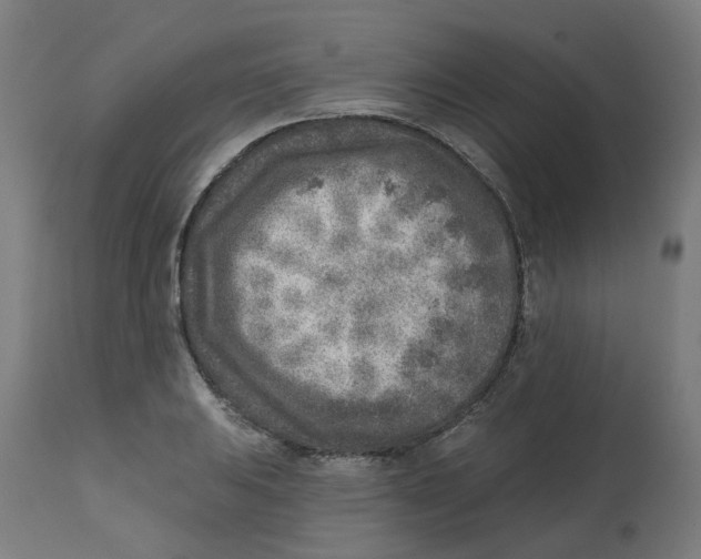 X0000112761031200909171245
