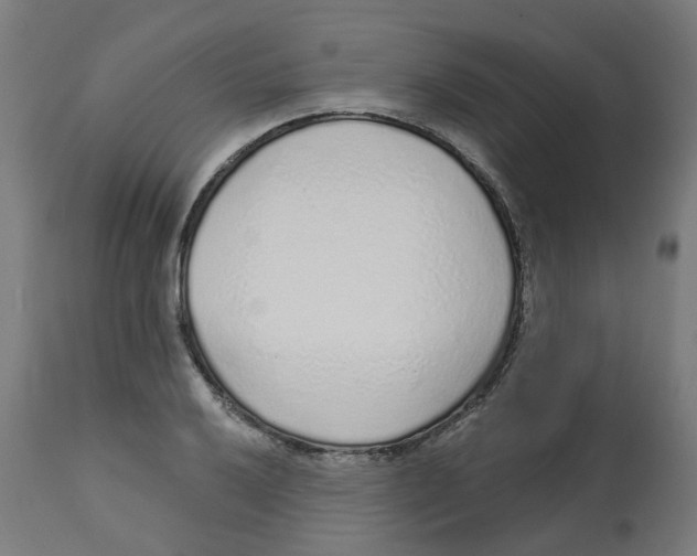 X0000112761032200909171245