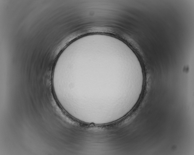 X0000112761033200909171245