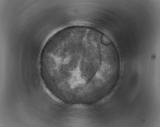 X0000112761037200909171245