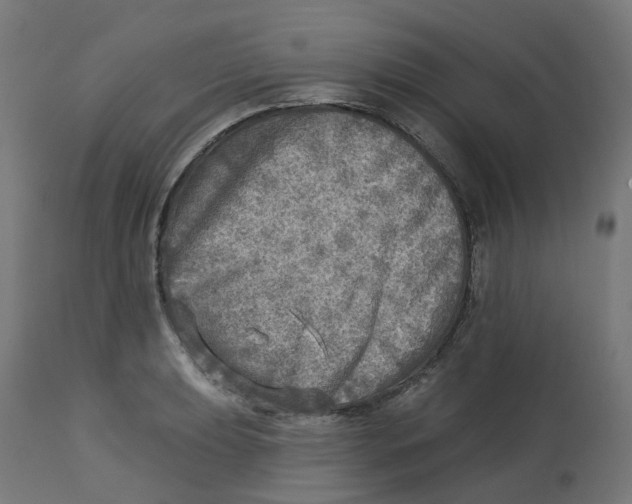 X0000112761039200909171245