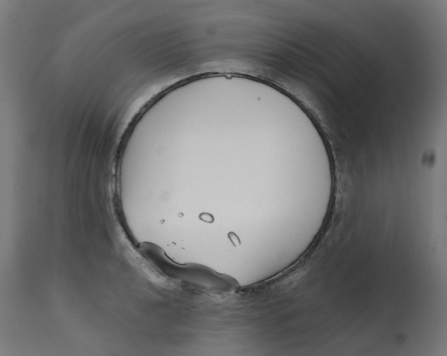 X0000112761040200909171245