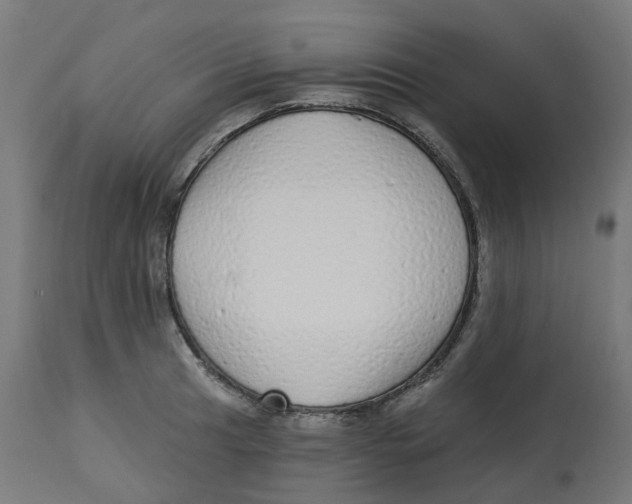 X0000112761041200909171245