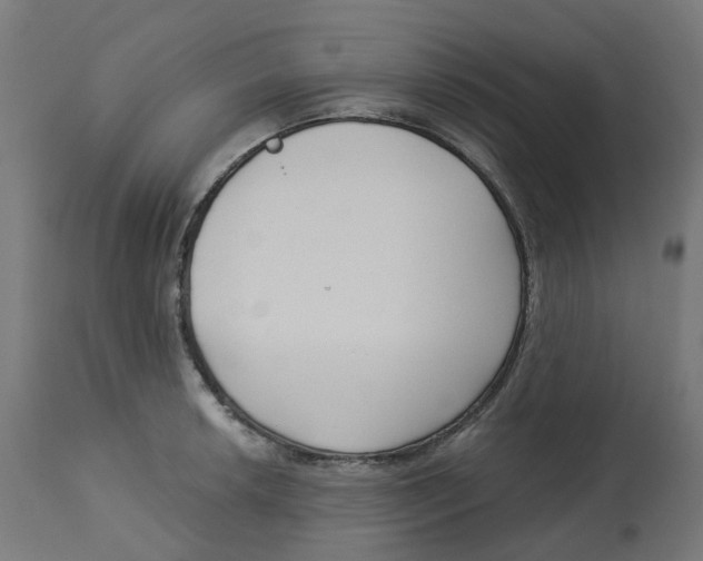X0000112761042200909171245