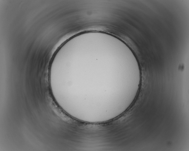 X0000112761044200909171245