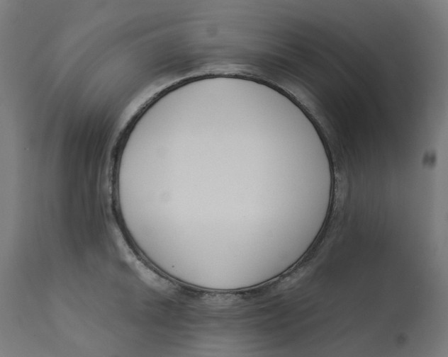 X0000112761046200909171245
