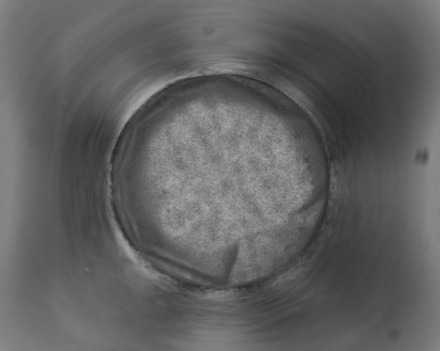 X0000112761047200909171245