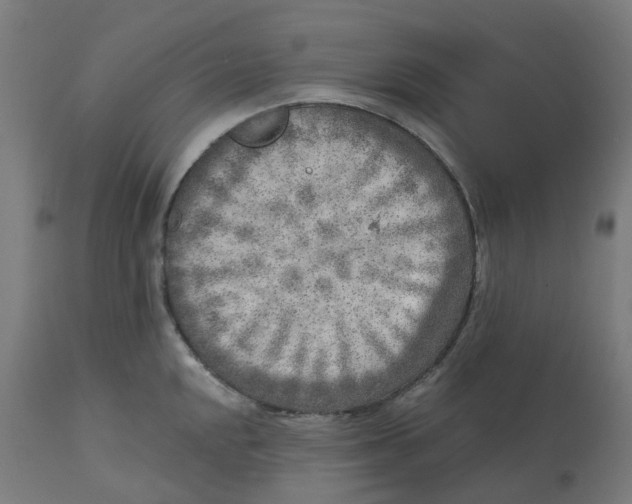 X0000112761048200909171245