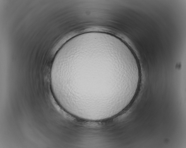 X0000112761049200909171245