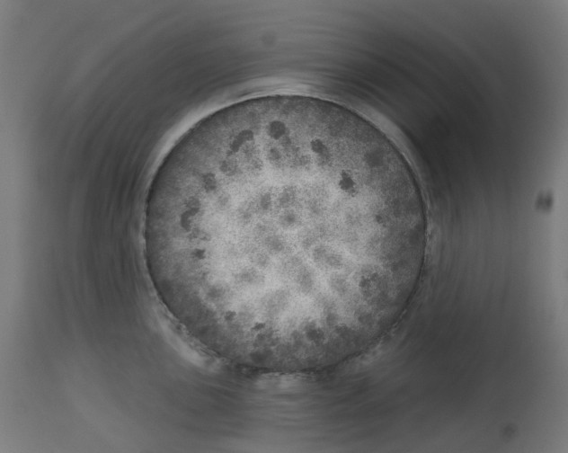 X0000112761051200909171245