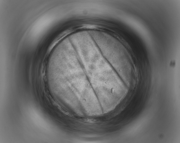 X0000112761052200909171245