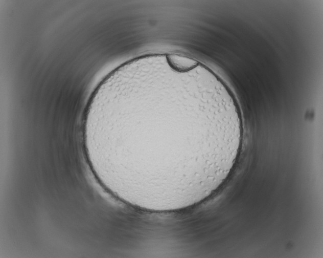 X0000112761053200909171245