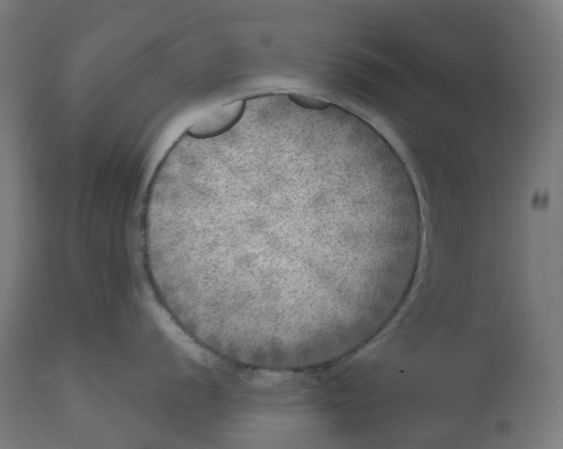 X0000112761056200909171245