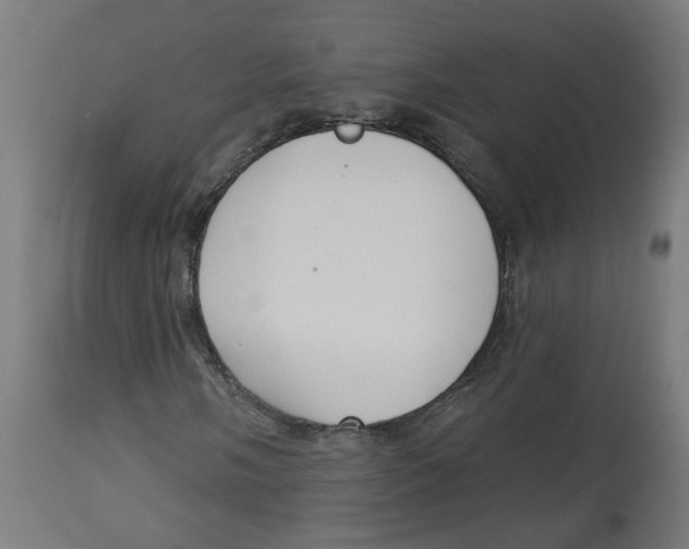 X0000112761058200909171244