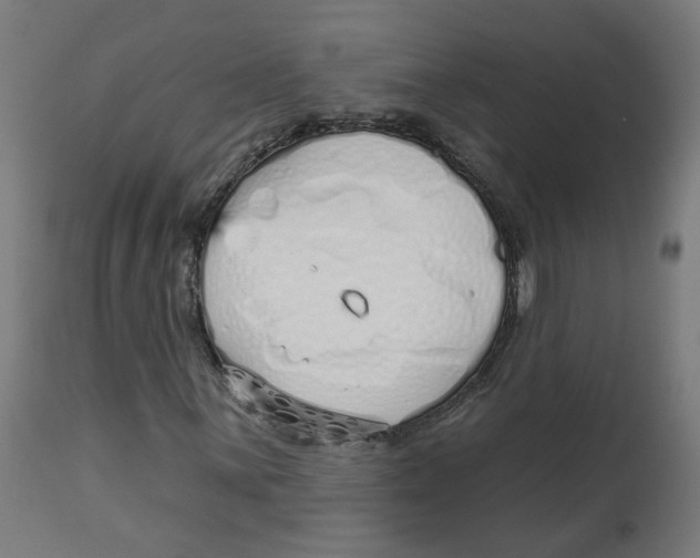 X0000112761059200909171244