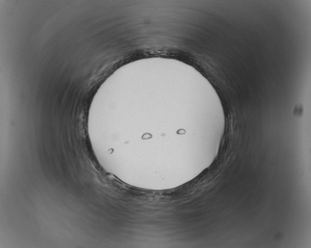 X0000112761060200909171244